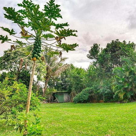 Charming Historic Hilo House Minutes To Beach! Extérieur photo